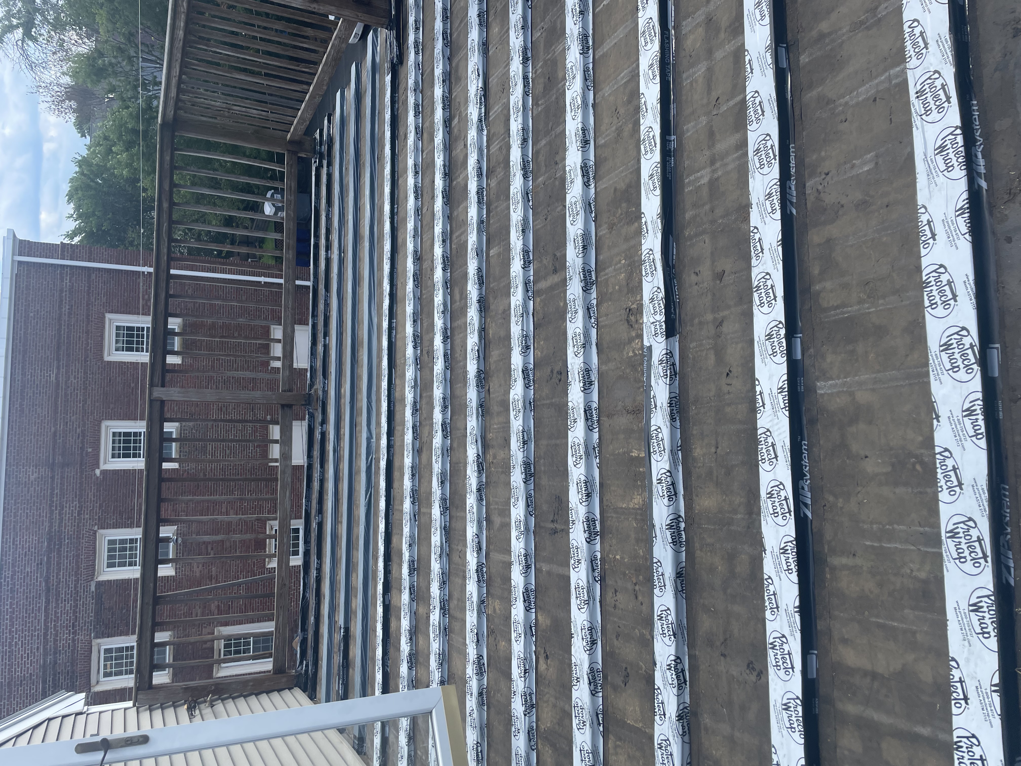 description of picture 9